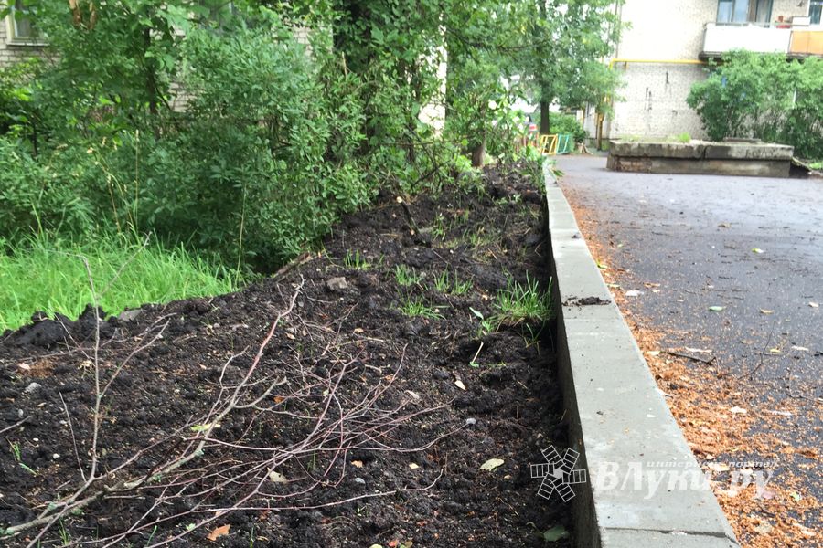 Сквер у автовокзала в Великих Луках обновился (ФОТО)