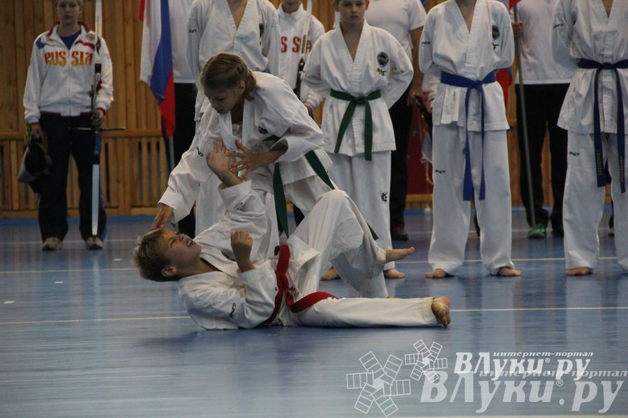 Открытие спортивно-оздоровительный комплекс «Стрелец» (фото)