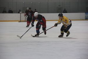 Великолукский «Экспресс» одержал победу в игре с псковскими «Медведями» (ФОТО)