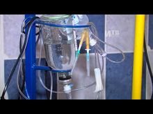 Импульс-ТВ. Будни Центра милосердия для животных