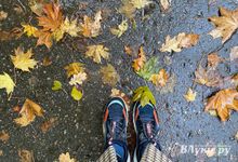 Циклон принесёт на Северо-Запад ненастную и слякотную погоду