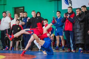 Фото: Александр Воробьев Великолучане завоевали награды Всероссийских соревнований по самбо