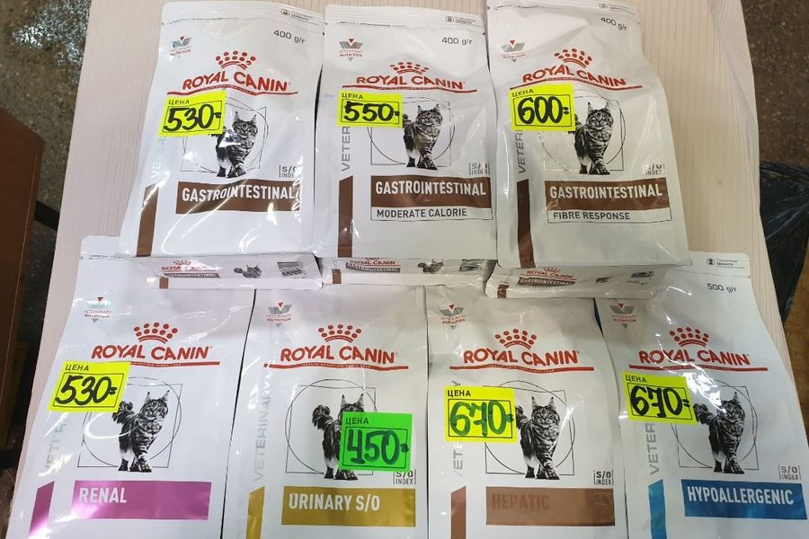 1 марта - ваш кот заслуживает подарок