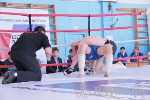 Чемпионат Псковской области по ММА