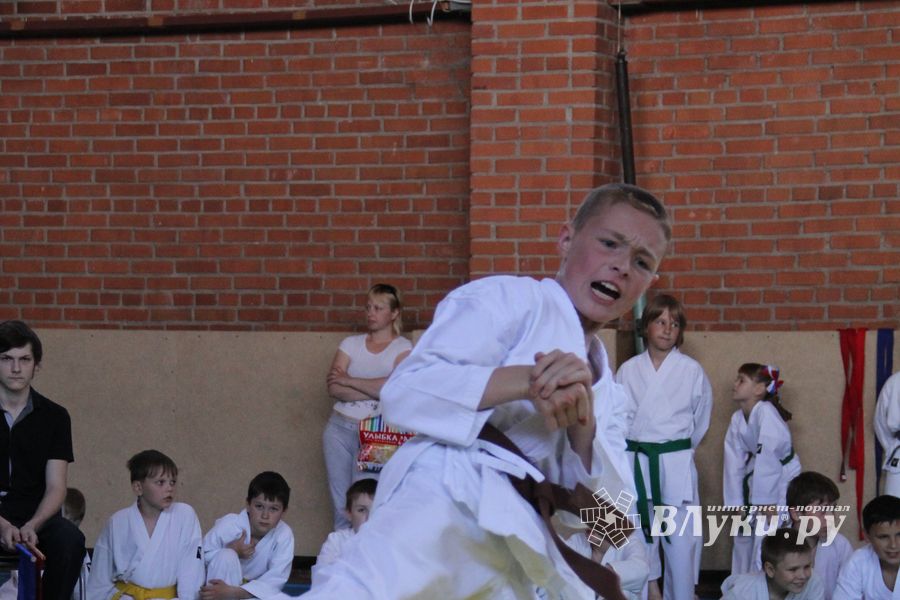 Турнир по каратэ