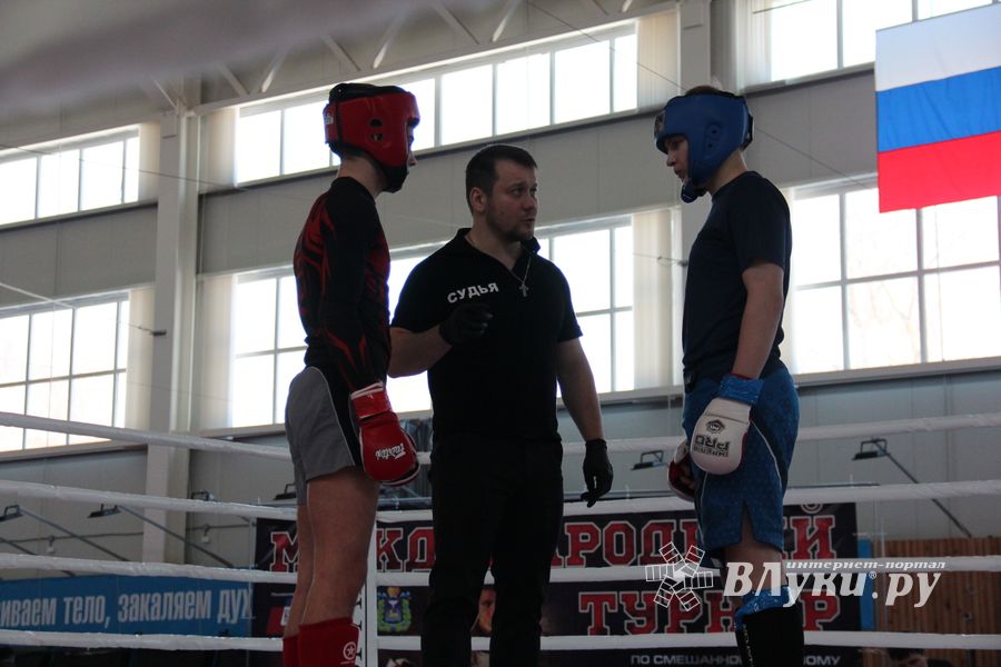 В Великих Луках проходит открытый кубок по смешанному боевому единоборству ММА (ФОТО) (12+)