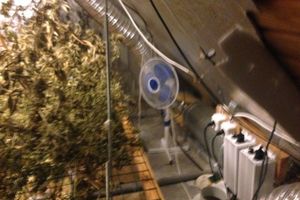 В Псковской области завершилась операция «Мак» (фото)