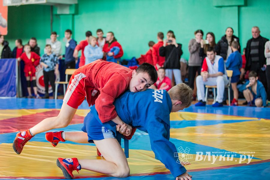Фото: Александр Воробьев Великолучане завоевали награды Всероссийских соревнований по самбо