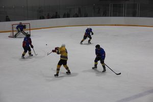 Великолучане одержали победу над псковским «Беркутом» (ФОТО)