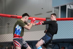 В Великих Луках прошел кубок по смешанному боевому единоборству (ФОТО)