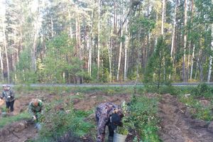 Акция «Сохраним лес» прошла в Печорском районе (ФОТО)