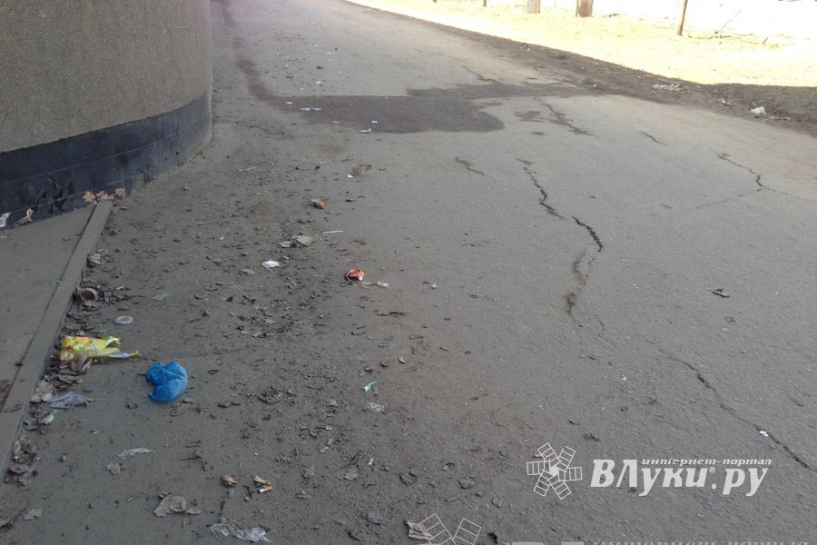 Весне дорогу!