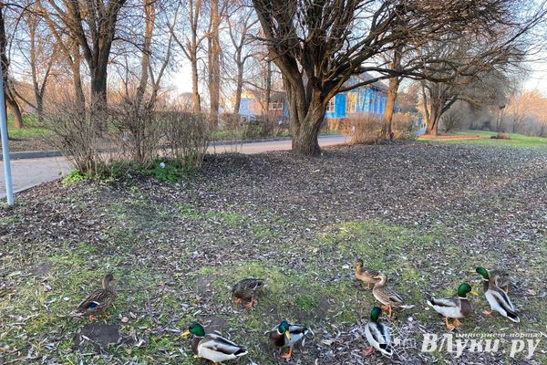 Прогноз погоды на 12 ноября