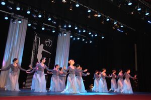 В Великих Луках прошел Фестиваль танца (ФОТО)
