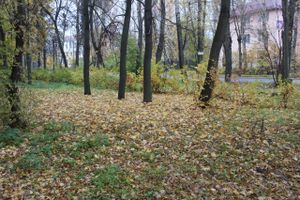 ©ВЛуки.ру