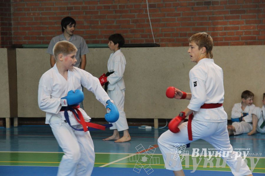 Турнир по каратэ «Неприкосновенный запас — дети Отчизны»