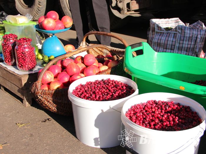 Торговая ярмарка «Осень-2016» прошла в Великих Луках (ФОТО)