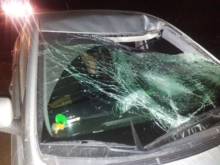 В Великолукском районе в ДТП погиб мужчина (ФОТО)