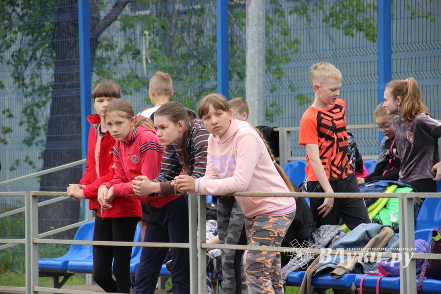 Великолукские школьники сдают ГТО (ФОТО)