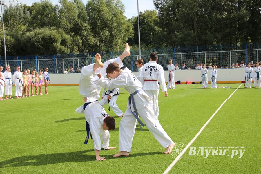 День спорта в День города: сила, мужество и грация (ФОТО)