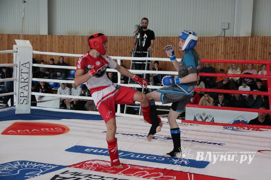 Открытый кубок по смешанному боевому единоборству ММА прошел в Великих Луках (ФОТО)