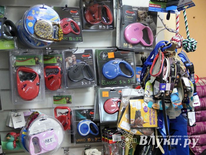 «Zooбастики»: подарите праздник своим любимцам! (ФОТО+ВИДЕО)