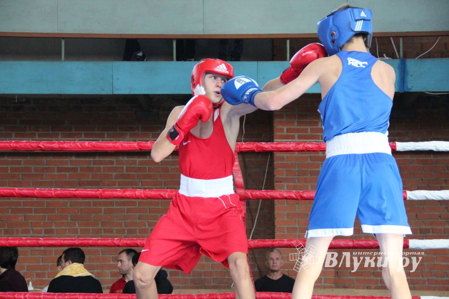В Великих Луках прошел турнир по боксу памяти Е. Клевцова (ФОТО)