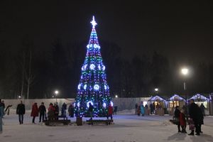 Новогодний салют прогремел Великих Луках (ФОТО)