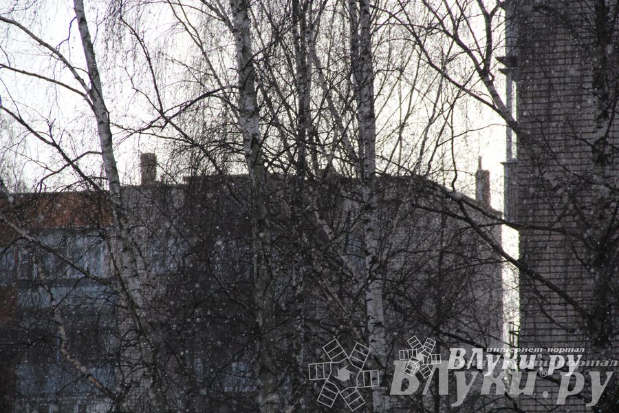 Зима. Начало