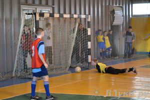 XII Традиционный Международный открытый турнир по мини-футболу среди юношей 2001-2002 г. р.