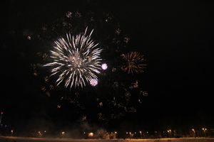 В Великих Луках зажглась новогодная ёлка (ФОТО)