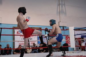 Открытый Кубок города Великие Луки по смешанному боевому единоборству (ММА)