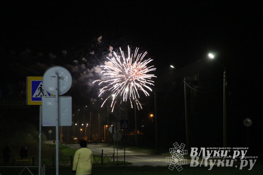 ​Праздничным концертом и салютом завершились празднования Дня Победы в Великих Луках (фото)
