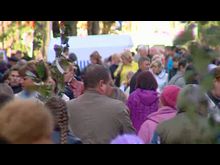 Импульс-ТВ: Осенняя ярмарка 