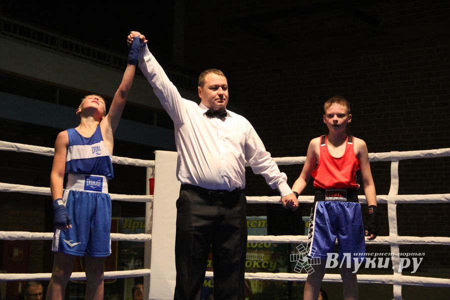 В Великих Луках проходят соревнования по боксу памяти Е.А. Клевцова (фоторепортаж)