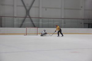 Определилась команда, которая будет представлять город на Кубке области по хоккею (ФОТО)