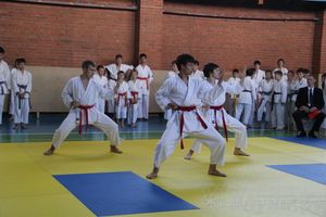 Турнир по каратэ