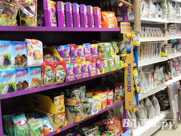 «Zooбастики»: подарите праздник своим любимцам! (ФОТО+ВИДЕО)