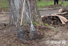 Дачников предупредили о штрафе за антисанитарию на участке