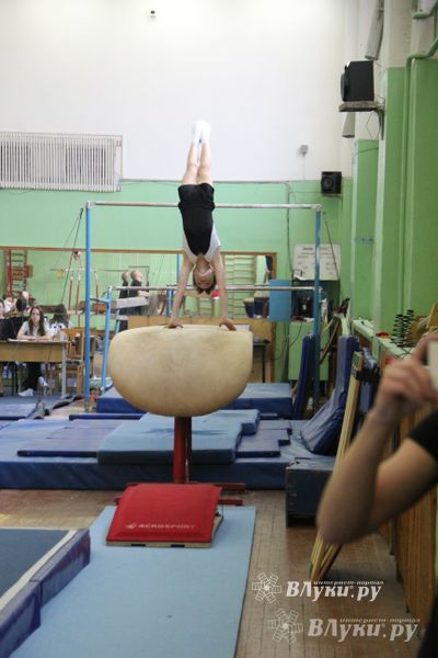 В Великих Луках состоялось Первенство города по спортивной гимнастике (фото)