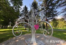 Сегодня в Великих Луках ожидается переменная облачность