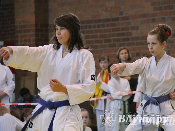 Великолучане стали победителями турнира по каратэ «Неприкосновенный запас, дети — Отчизны 2015» (фото)