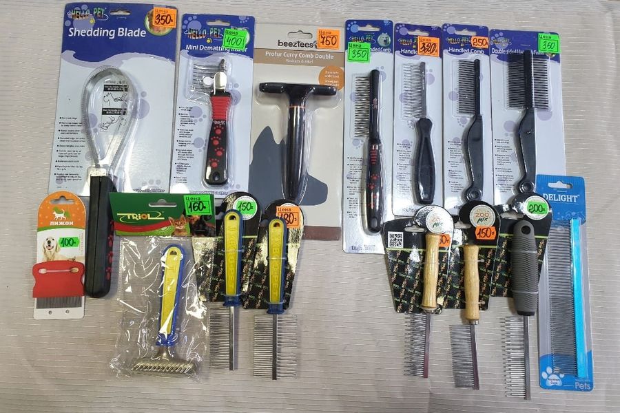 1 марта - ваш кот заслуживает подарок