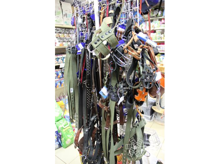 «Zooбастики»: подарите праздник своим любимцам! (ФОТО+ВИДЕО)