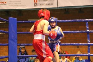 В Великих Луках проходят соревнования по боксу памяти Е.А. Клевцова (фоторепортаж)