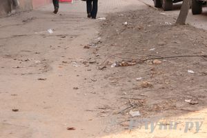 Великие Луки утопают в пыли и песке (фото)