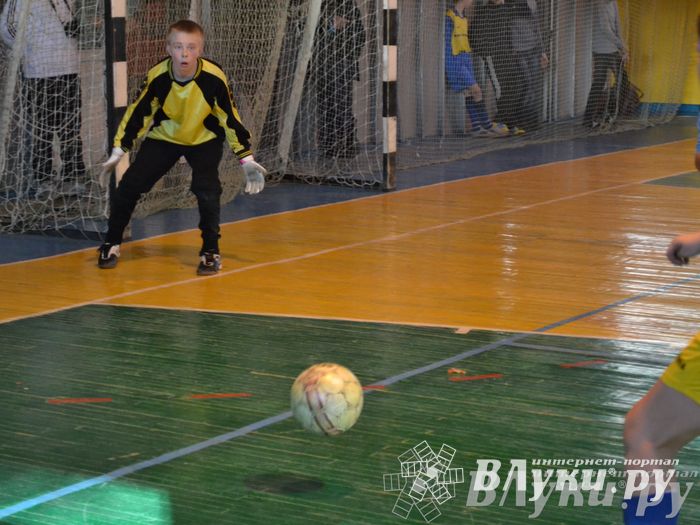 XII Традиционный Международный открытый турнир по мини-футболу среди юношей 2001-2002 г. р.