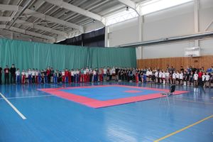 В Великих Луках проходит Кубок по кикбоксингу (ФОТО) (0+)