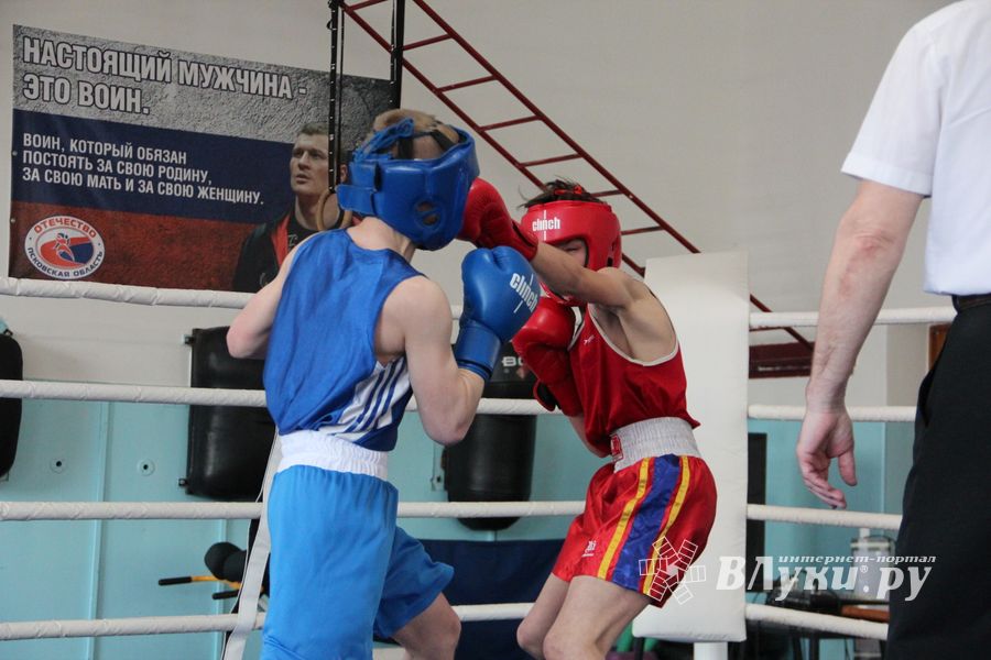 В Великих Луках завершился открытый турнир по боксу (ФОТО)