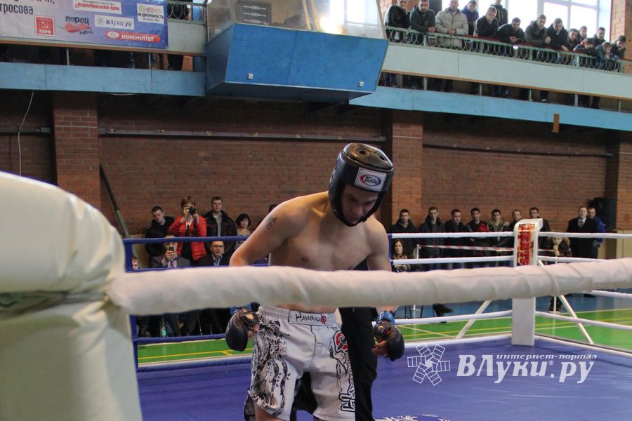 В Великих Луках прошел межрегиональный Открытый Кубок по смешанному боевому единоборству (фото)